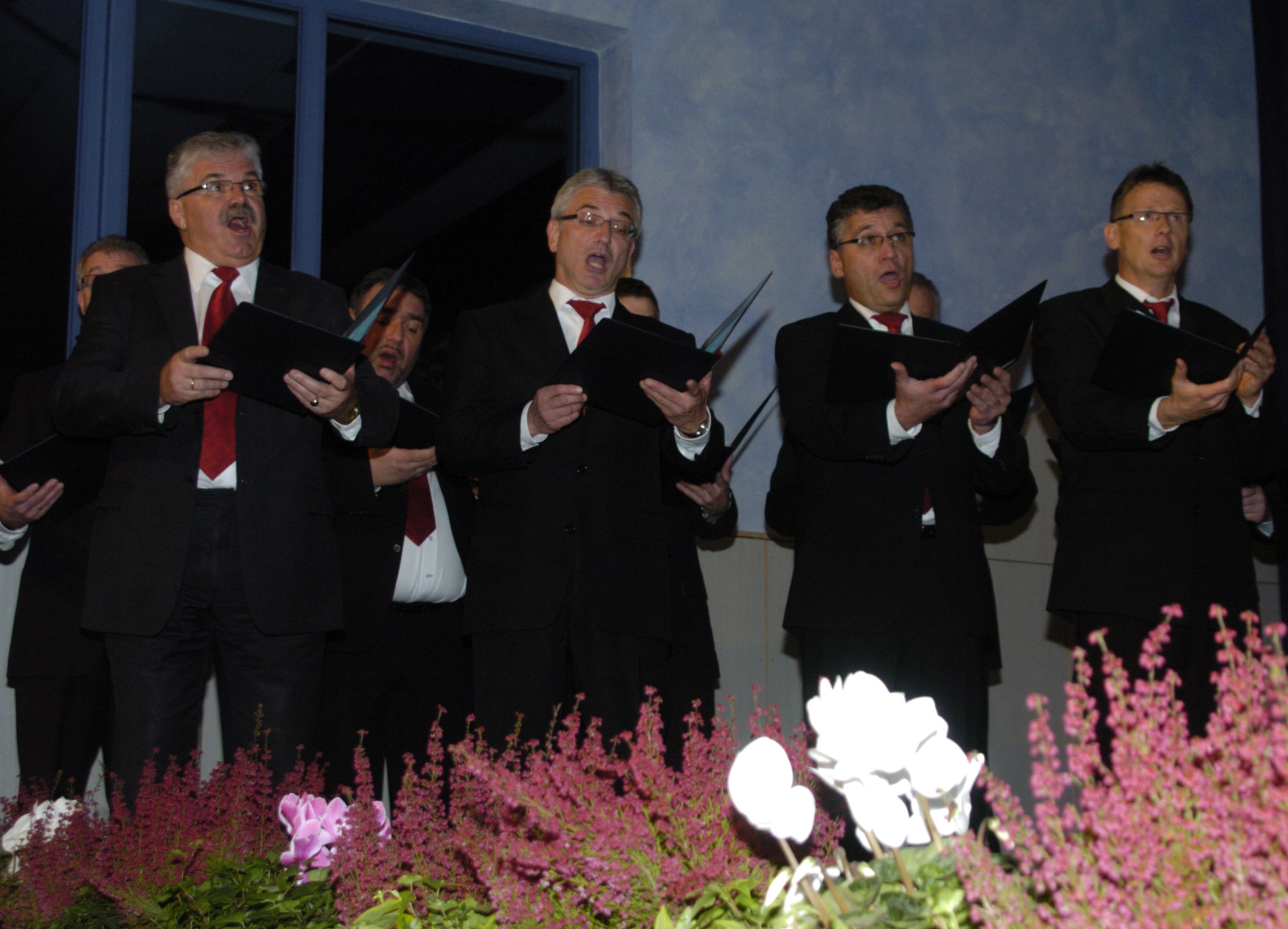Konzert 2010 NPW FroheStunde2